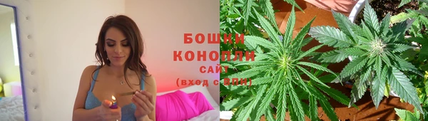 прущий лед Арсеньев