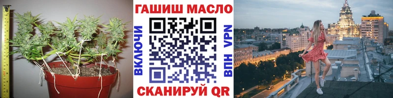 Купить закладки  Строитель  ТГК концентрат 